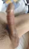771170.jpg
(6KB)