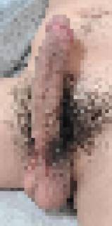 779525.jpg (260KB)