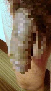 780118.jpg (38KB)