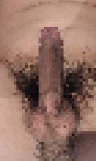 781105.jpg (222KB)