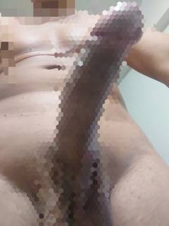 782764.jpg (161KB)
