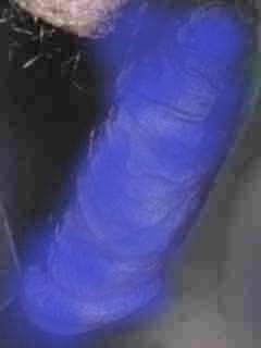 784396.jpg (7KB)