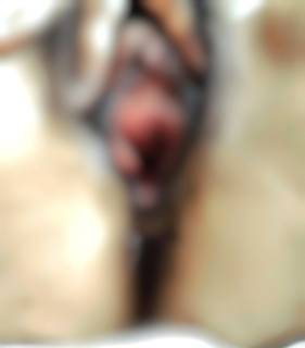 784457.jpg (295KB)