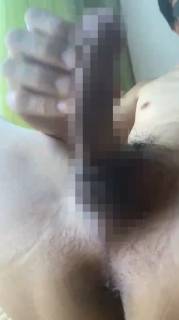 784586.jpg (236KB)