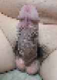 785298.jpg
(8KB)