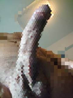 785407.jpg (193KB)