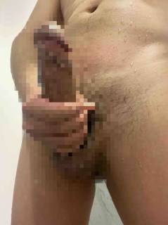 785905.jpg (246KB)
