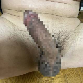 786050.jpg (94KB)