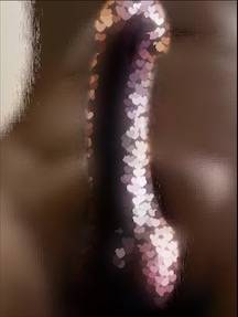 786064.jpg (14KB)