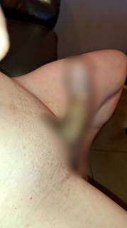 786081.jpg (409KB)