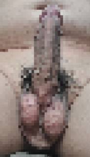 786222.jpg (231KB)