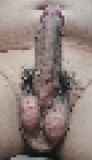 786222.jpg
(8KB)