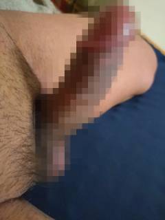 786337.jpg (313KB)