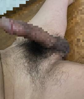 786410.jpg (75KB)