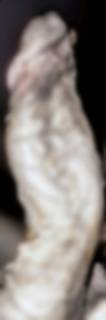 786607.jpg (163KB)