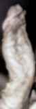 786607.jpg
(3KB)
