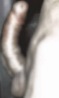 786665.jpg (334KB)