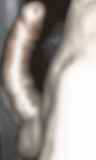 786665.jpg
(4KB)