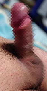 786680.jpg (136KB)