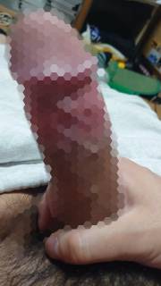 786863.jpg (115KB)