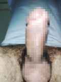 786938.jpg
(8KB)