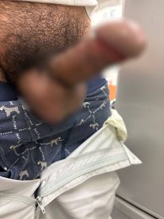 787193.jpg (116KB)