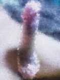 787209.jpg
(12KB)
