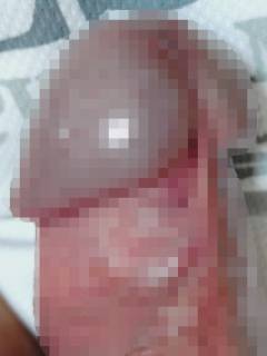 787215.jpg (257KB)