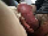787219.jpg
(15KB)