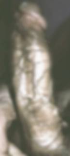 787281.jpg (121KB)