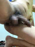 787427.jpg
(9KB)