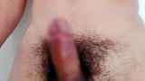 787565.jpg
(5KB)