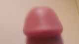 787567.jpg
(2KB)