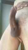 787645.jpg
(5KB)
