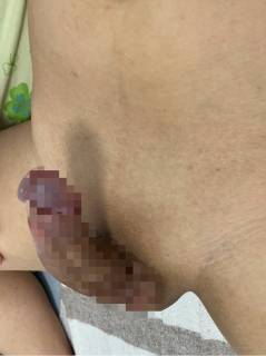 788192.jpg (142KB)