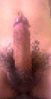 788414.jpg (101KB)