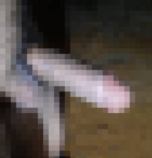 788435.jpg (27KB)