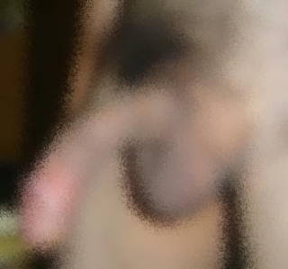788572.jpg (12KB)