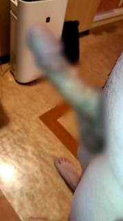 788588.jpg (64KB)