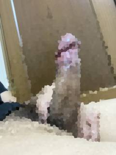 788612.jpg (173KB)