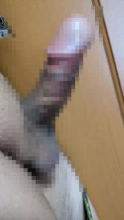 789289.jpg (72KB)