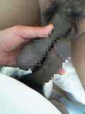 789545.jpg
(8KB)