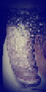 789769.jpg (163KB)