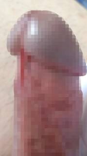 789850.jpg (79KB)
