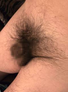 789873.jpg (72KB)