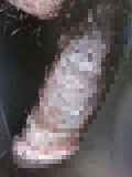 789949.jpg
(6KB)