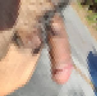 790236.jpg (48KB)