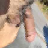 790236.jpg
(11KB)