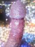 790299.jpg
(6KB)