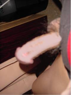 790335.jpg (48KB)